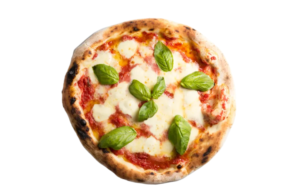 Pizzas margaritha.webp